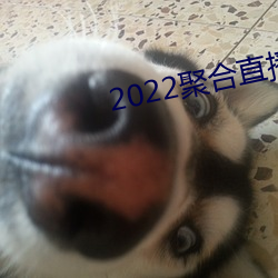 2022聚(jù)合直播盒子