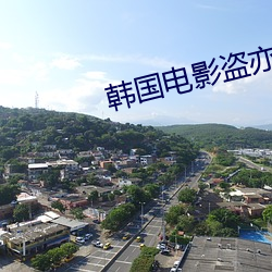 韩国电影盗亦有道