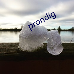 prondig