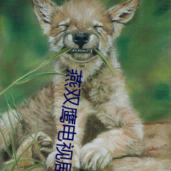燕双鹰电视剧42集(集)