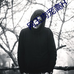 网王肉(肉)宠(寵)高H