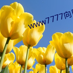 www7777向日葵 竣工）