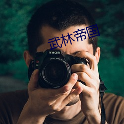 武(武)林帝(帝)国