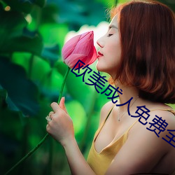 欧美(měi)成人(rén)免费全部(bù)