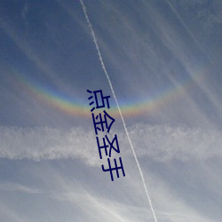 点(點)金(金)圣(聖)手