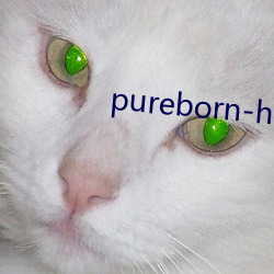 pureborn-hd