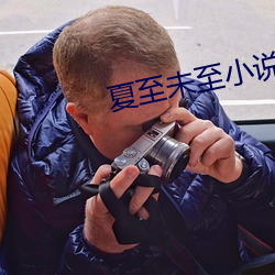夏至未至小说 （琵琶别抱）