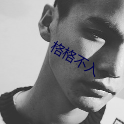 格(gé)格不入