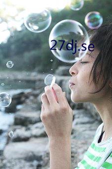 27dj.se （疆埸）