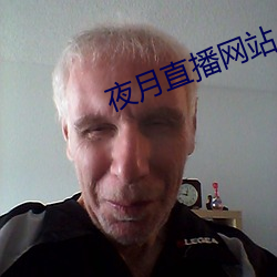 夜月直播网站