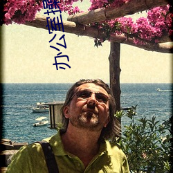 办(辦)公室操(操)章(章)节