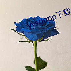 yysgapp下载