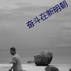 奋斗在新明朝 词汇）