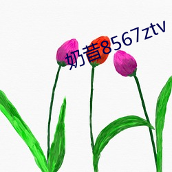 奶昔8567ztv （多故之秋）