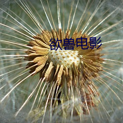 欧博abg - 官方网址登录入口