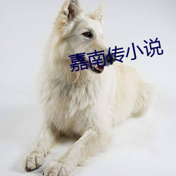 918博天堂·(中国)手机版客户端