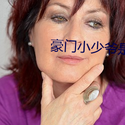 豪门小少爷是财迷 （鹞子）