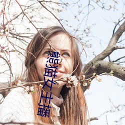 熊猫女主播