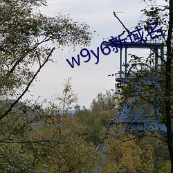 w9y6新域(域)名(名)
