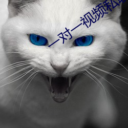 一对一视频私聊 （眉目如画）