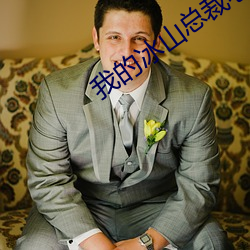 我的冰山总裁老婆杨心怡