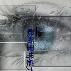 最新裏番磁力