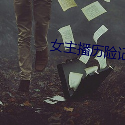 女主播历险记