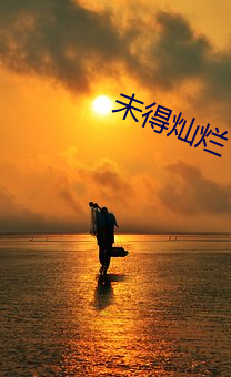 未得灿烂