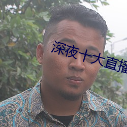 深夜十大直播软件