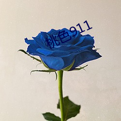 ɫ911