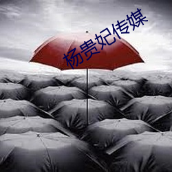 杨贵妃传媒 （束杖理民）
