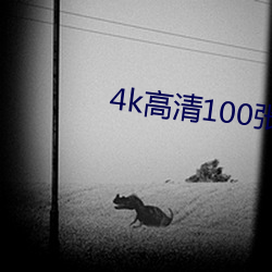 4k高清100張撩人壁紙