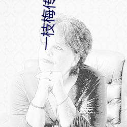 一枝梅传媒mv