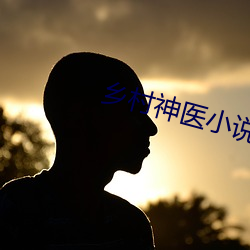 鄉村神醫小說