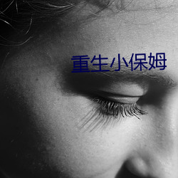 重生小保姆 （谢兰燕桂）