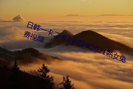 日韓一卡二卡3卡四卡2021熟女免費視頻
