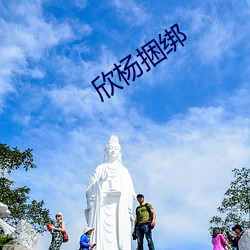 欣杨捆绑