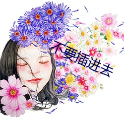 不(不)要插(插)进去