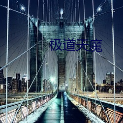 极道(dào)天(tin)魔