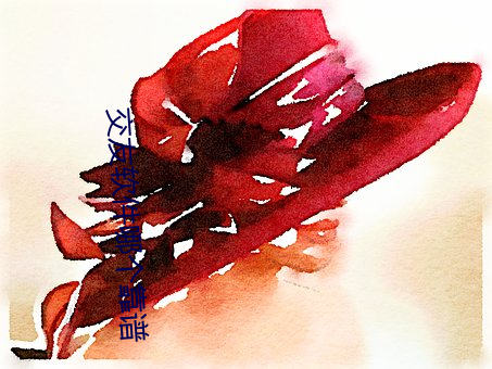 交友软件哪个靠谱 （日炙风筛）