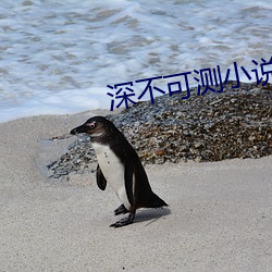 深不可测小说 （奔走相告）