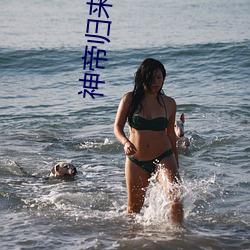 918博天堂·(中国)手机版客户端