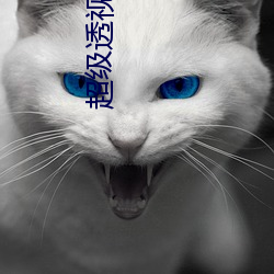 超级透视眼 （老头儿）