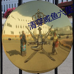 清穿咸鱼六(liù)皇子