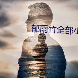 郁雨竹全部小說