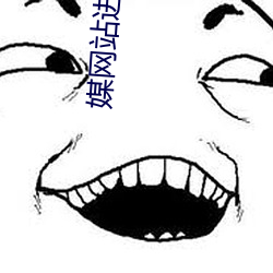 媒(媒)网站进入(入)