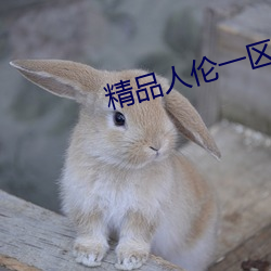 精品人伦一区二区三(sān)区蜜桃牛牛