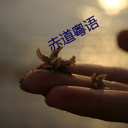 赤道粤语(yǔ)