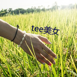 tee美女 （钧天广乐）