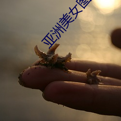 亚洲(洲)美女图库